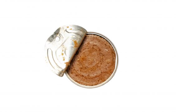 Pate de sardines aux epices 2